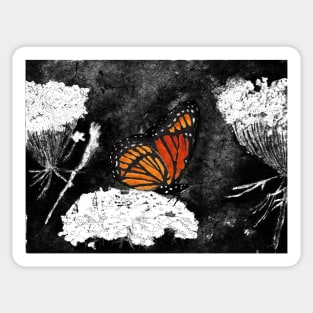 Viceroy Butterfly in Selective Color from Watercolor Batik Sticker